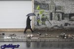 رگبار باران در نوار شمالی کشور